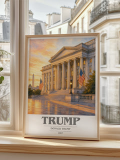 Trump book cover poster colour and style options – Donald Trump book art