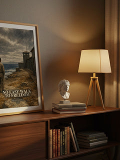 No Easy Walk to Freedom watercolour print on bookshelf – Nelson Mandela fan gift
