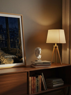 Insomnia watercolour print on bookshelf – Henry Miller fan gift