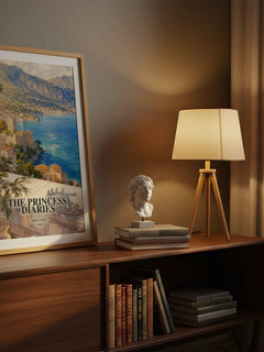 The Princess Diaries watercolour print on bookshelf – Meg Cabot fan gift