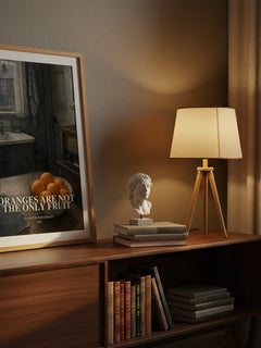 Oranges Are Not the Only Fruit watercolour print on bookshelf – Jeanette Winterson fan gift