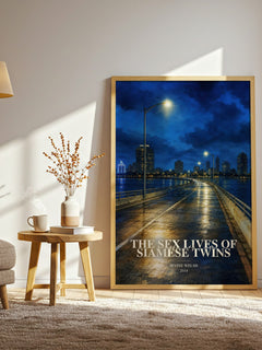 The Sex Lives Of Siamese Twins watercolour print in frame leaning in hallway – contemporary fiction wall art