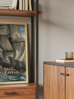 Post Captain book watercolour illustration paper finish options – matte satin gloss