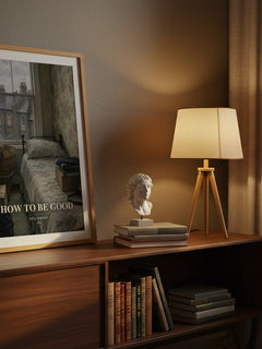 How to Be Good watercolour print on bookshelf – Nick Hornby fan gift
