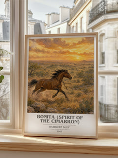 Bonita (Spirit of the Cimarron) book cover poster colour and style options – Kathleen Duey book art
