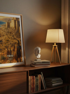 Troy watercolour print on bookshelf – Stephen Fry fan gift
