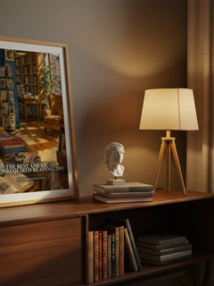 The best American nonrequired reading, 2003 watercolour print on bookshelf – Jonathan Safran Foer fan gift