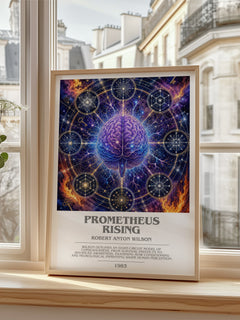 Prometheus Rising bookish poster colour and style options – Robert Anton Wilson book art