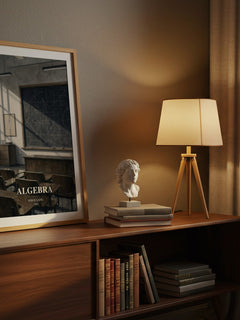 Algebra watercolour print on bookshelf – Serge Lang fan gift