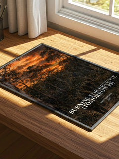 Burning for revenge (Tomorrow #5) watercolour book poster framed on wall – young adult wall art