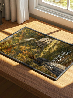 On top of Concord Hill watercolour book poster framed on wall – childrens wall art