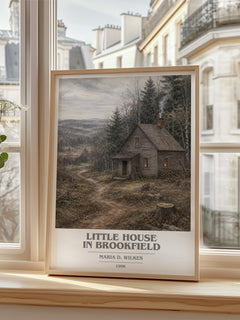 Little house in Brookfield book cover poster colour and style options – Maria D. Wilkes book art