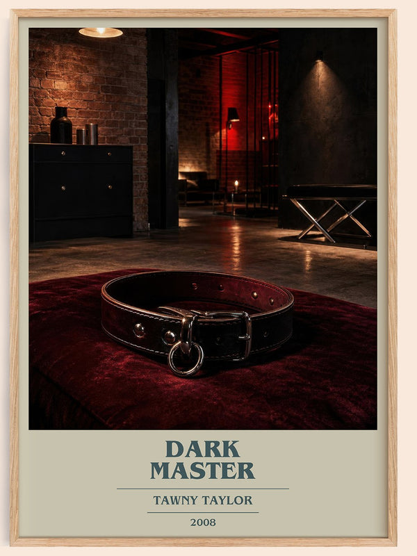 Dark Master book cover book poster by Tawny Taylor – framed literary art print