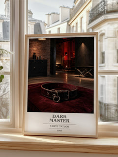 Dark Master book cover poster colour and style options – Tawny Taylor book art