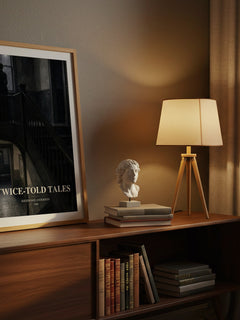Twice-Told Tales watercolour print on bookshelf – Sherwood Anderson fan gift