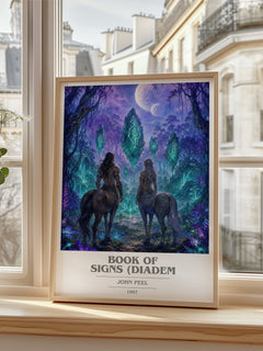 Book of Signs (Diadem book cover poster colour and style options – John Peel book art