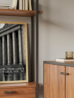 The Nazis (Time-Life's World War II, Vol. 21) book watercolour illustration paper finish options – matte satin gloss