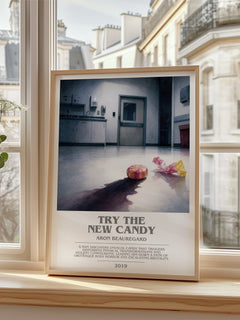 Try the New Candy bookish poster colour and style options – Aron Beauregard book art