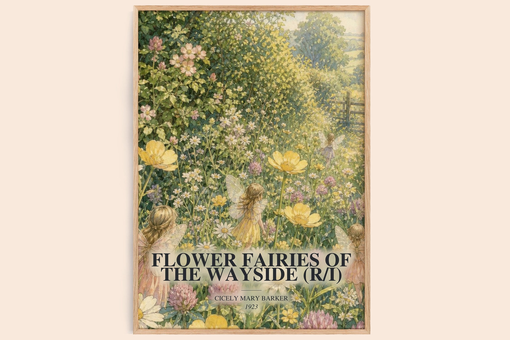 Flower Fairies of the Wayside (R/I) Book Watercolour Illustration by Cicely Mary Barker