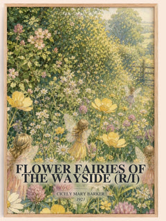 Flower Fairies of the Wayside (R/I) watercolour book poster by Cicely Mary Barker – framed literary art print
