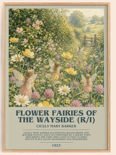 Flower Fairies of the Wayside (R/I) bookish book poster by Cicely Mary Barker – framed literary art print