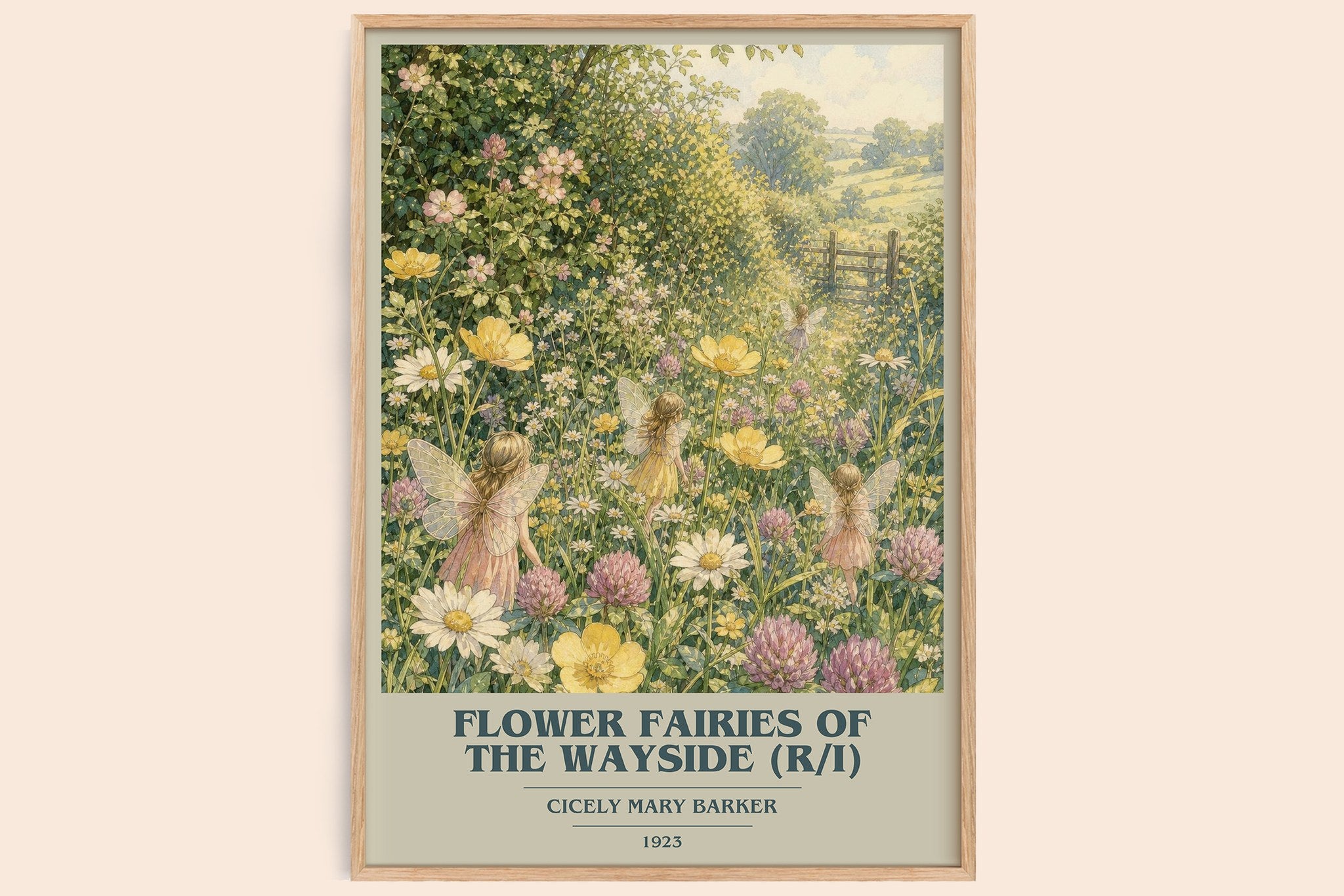 Flower Fairies of the Wayside (R/I) Book Cover Poster by C. Barker
