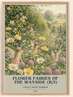 Flower Fairies of the Wayside (R/I) book cover book poster by Cicely Mary Barker – framed literary art print