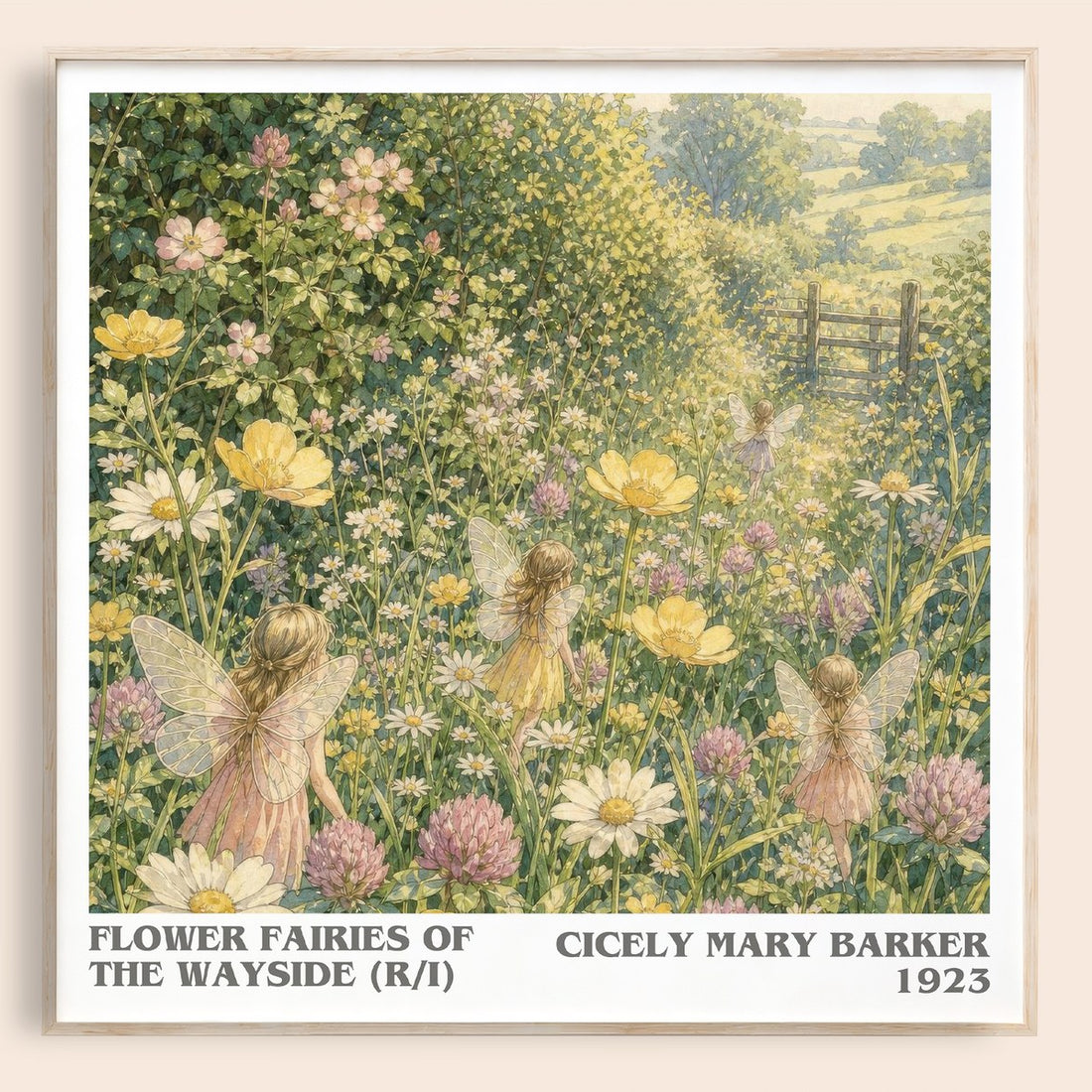 Flower Fairies of the Wayside (R/I) literary book poster by Cicely Mary Barker – framed literary art print