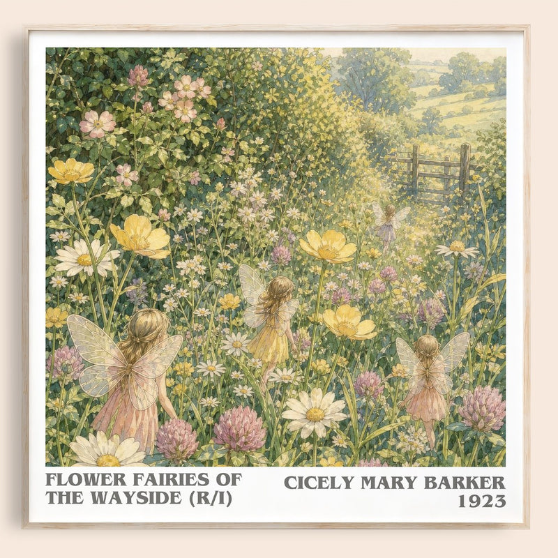 Flower Fairies of the Wayside (R/I) literary book poster by Cicely Mary Barker – framed literary art print