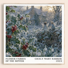 Flower Fairies of the Winter literary book poster by Cicely Mary Barker – framed literary art print