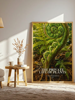 The private life of plants watercolour print in frame leaning in hallway – non fiction wall art