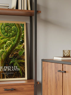The private life of plants book watercolour illustration paper finish options – matte satin gloss