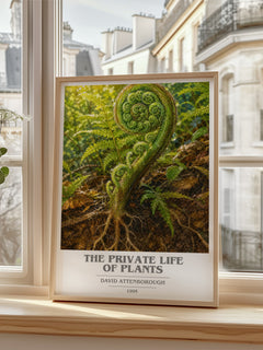 The private life of plants book cover poster colour and style options – David Attenborough book art