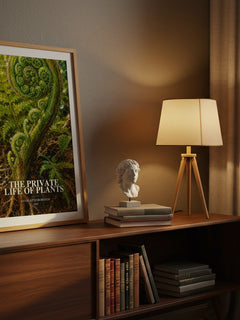 The private life of plants watercolour print on bookshelf – David Attenborough fan gift