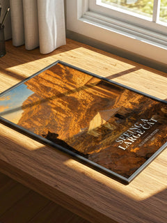 Seeing a large cat watercolour book poster framed on wall – mystery wall art