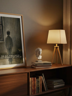 The boy who could make himself disappear watercolour print on bookshelf – Kin Platt fan gift