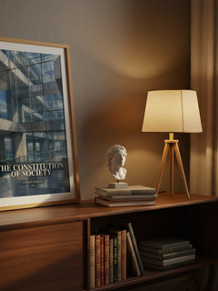 The constitution of society watercolour print on bookshelf – Anthony Giddens fan gift