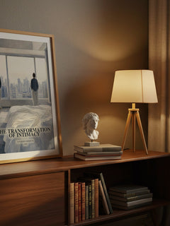 The transformation of intimacy watercolour print on bookshelf – Anthony Giddens fan gift