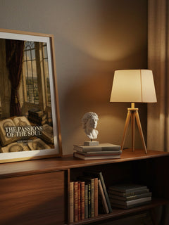 The Passions of the Soul watercolour print on bookshelf – René Descartes fan gift