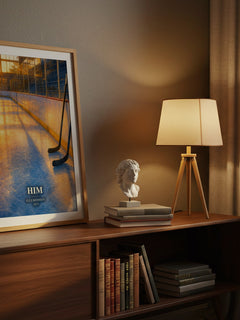 Him watercolour print on bookshelf – Elle Kennedy fan gift