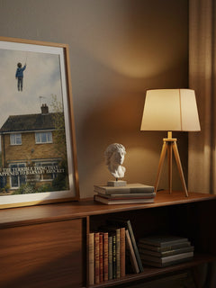 The Terrible Thing That Happened to Barnaby Brocket watercolour print on bookshelf – John Boyne fan gift