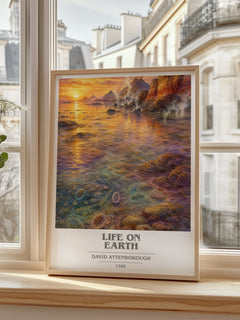 Life on Earth book cover poster colour and style options – David Attenborough book art
