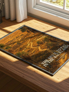 The Devil to Pay in the Backlands watercolour book poster framed on wall – literary fiction wall art