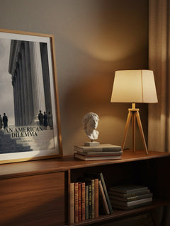 An American Dilemma watercolour print on bookshelf – Gunnar Myrdal fan gift