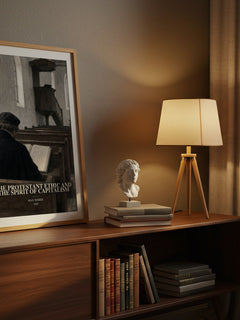 The Protestant Ethic and the Spirit of Capitalism watercolour print on bookshelf – Max Weber fan gift