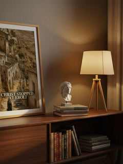 Christ Stopped at Eboli watercolour print on bookshelf – Carlo Levi fan gift