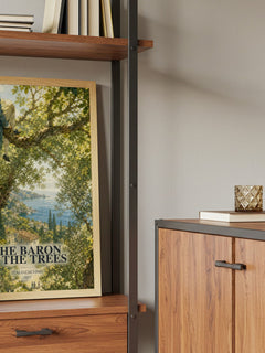 The Baron in the Trees book watercolour illustration paper finish options – matte satin gloss