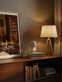 The Spirit Of The Laws watercolour print on bookshelf – Montesquieu fan gift