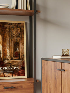 The Viceroys book watercolour illustration paper finish options – matte satin gloss