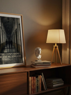 The Confusions of Young Törless watercolour print on bookshelf – Robert Musil fan gift